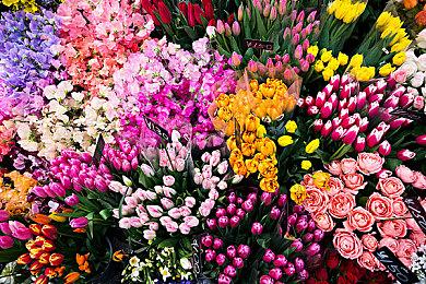 Steam主机死灰复燃？传闻称V社在开发新的主机 采用RX 9070显卡