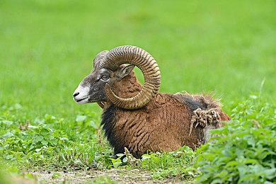 灵感时刻色彩先行，百脑汇携华硕ProArt邀你玩转色彩空间